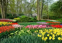 Dutch Invertuals