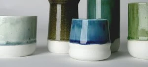 Ineke van der Werff