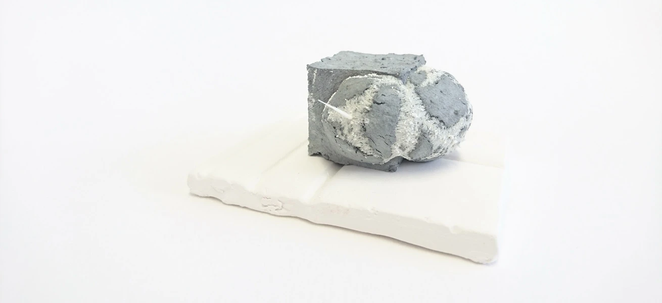 Masters and Alumni from Maastricht Academy of Fine Arts and Design