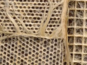 Interwoven, Diana Scherer